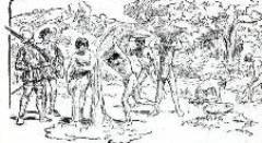 Home Page Image